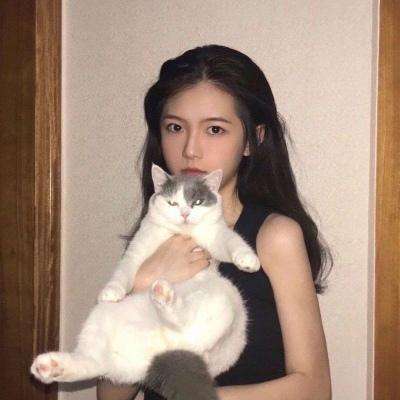 关门放吕布hd小米版下载